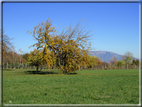 foto Alle pendici del Monte Grappa in Autunno